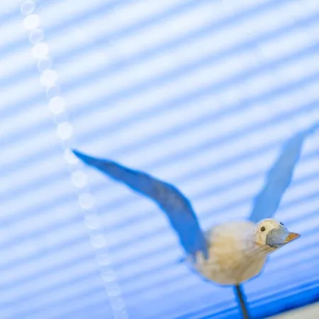 Haus Der Elemente * Goslar